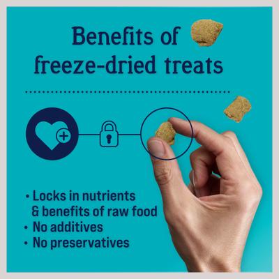 Show full view: Stewart Zen Beef & Pumpkin Recipe Grain-Free Freeze-Dried Dog Treat, 4-oz bag slide 5 of 11