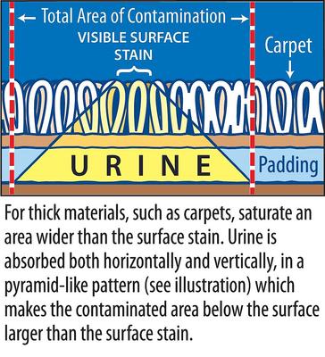 Show full view: Stink Free Cat Urine & Odor Remover, 32-fl oz bottle slide 4 of 8