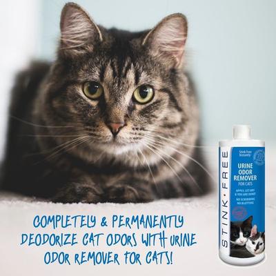 Show full view: Stink Free Cat Urine & Odor Remover, 32-fl oz bottle slide 6 of 8