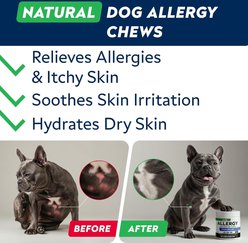 StrellaLab Allergy & Itch Relief Chicken Flavored Soft Chews for Dogs with Omega-3 Fish Oil, 180 count slide 2 of 8