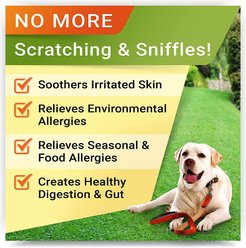 StrellaLab Allergy Relief & Anti Itch Relief with Omega 3 Skin & Coat Fish Oil Chew Supplement for Dogs, 120 count slide 2 of 7