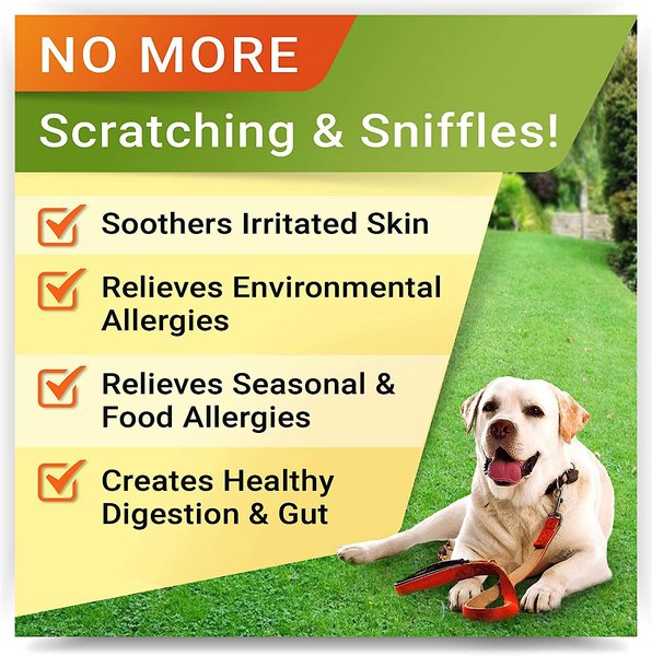 Show full view: StrellaLab Allergy Relief & Anti Itch Relief with Omega 3 Skin & Coat Fish Oil Chew Supplement for Dogs, 120 count slide 2 of 8