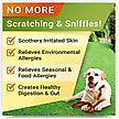 Show in main carousel: StrellaLab Allergy Relief & Anti Itch Relief with Omega 3 Skin & Coat Fish Oil Chew Supplement for Dogs, 120 count slide 2 of 8