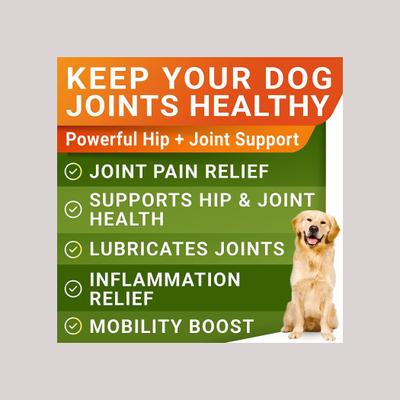 Show full view: StrellaLab Glucosamine Chondroitin & Hip & Joint with Omegas 3 & Fish Oil Advanced Mobility Chew Supplement for Dogs, 120 count slide 3 of 9