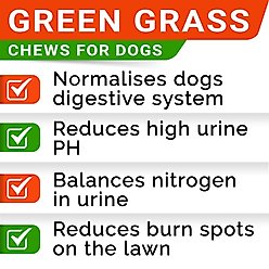 StrellaLab Grass Burn Spot & Urine Neutralizer & Grass Spot Saver with Methionine Enzymes Chew Supplement for Dogs, 120 count slide 2 of 7