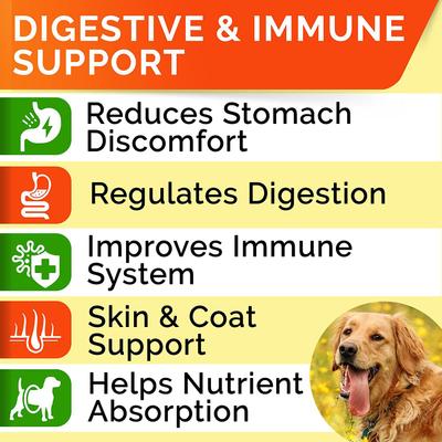 Show full view: StrellaLab Probiotics & Digestive Enzymes Fiber & Digestion & Gut Health Chew Supplement for Dogs, 180 count slide 3 of 9