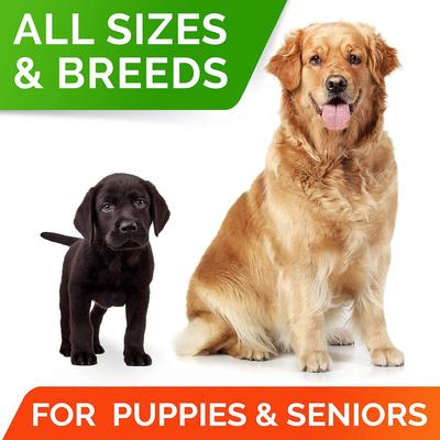 Show full view: StrellaLab Probiotics & Digestive Enzymes Fiber & Digestion & Gut Health Chew Supplement for Dogs, 180 count slide 8 of 9