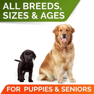 Show full view: StrellaLab Pumpkin High Fiber Powder Stool Consistency & Softener Supplement for Dogs, 8.1-oz jar slide 8 of 9