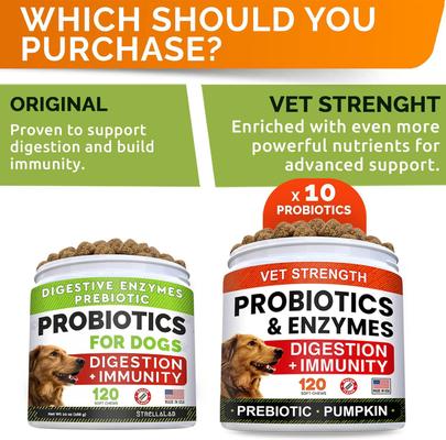 Show full view: StrellaLab Vet Strength Probiotics & Digestive Enzymes Fiber Chew Supplement & Digestion & Gut Health for Dogs, 120 count slide 5 of 8