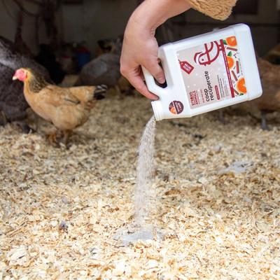 Show full view: Strong Animals Holiday Limited Edition Coop Recuperate, 2 count slide 4 of 7