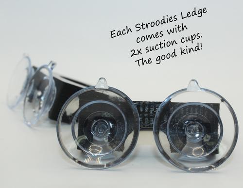 Show full view: Stroodies 1-slot Crested Gecko Feeding MicroLedge, Black slide 4 of 5