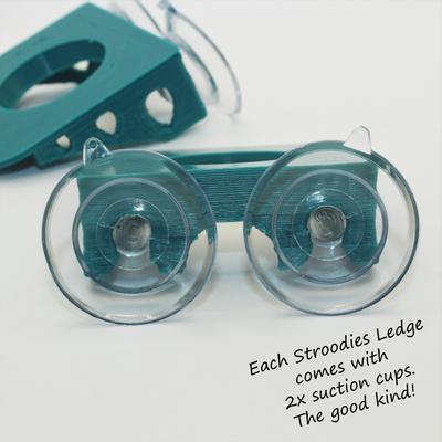 Show full view: Stroodies 1-slot Crested Gecko Feeding MicroLedge, Teal slide 4 of 5