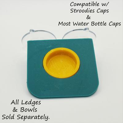 Show full view: Stroodies 1-slot Crested Gecko Feeding MicroLedge, Teal slide 5 of 5