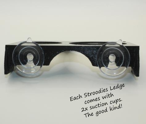 Show full view: Stroodies 2-slot "Bothsies" Crested Gecko Feeding Ledge, Black slide 4 of 6