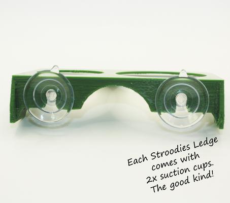 Show full view: Stroodies 2-slot "Bothsies" Crested Gecko Feeding Ledge, Leaf Green slide 4 of 6