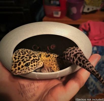 Show full view: Stroodies BubbleLoft Gecko Hideout, Marble, Regular/Adult slide 9 of 10