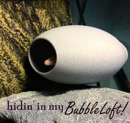 Show full view: Stroodies BubbleLoft Gecko Hideout, Marble, Regular/Adult slide 8 of 10