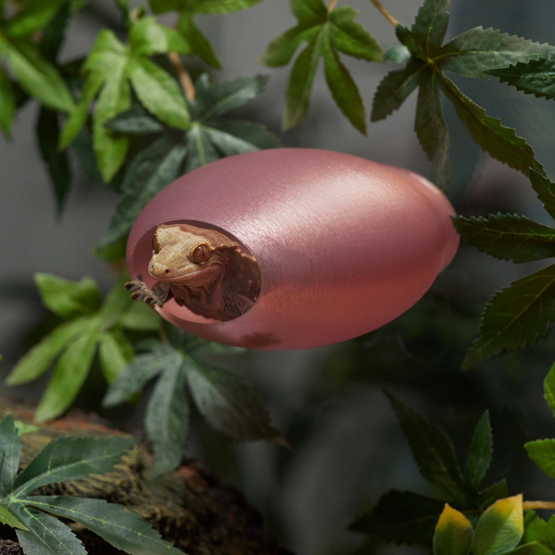 Stroodies BubbleLoft Gecko Hideout, Rose Gold, Regular/Adult