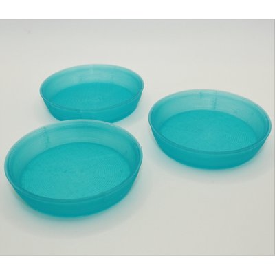 Stroodies Stroodies Crested Gecko Bowl, 3 count, Aqua, 2-oz