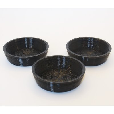 Stroodies Stroodies Crested Gecko Bowl, 3 count, Black, 0.5-oz