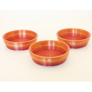 Stroodies Crested Gecko Bowl, 3 count, DragonFire, 0.5-oz