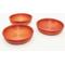 Show in main carousel: Stroodies Crested Gecko Bowl, 3 count, DragonFire, 2-oz slide 1 of 6