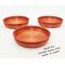 Show in main carousel: Stroodies Crested Gecko Bowl, 3 count, DragonFire, 2-oz slide 4 of 6