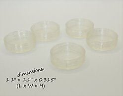 Stroodies Crested Geckos Caps, 5 count, Clear slide 2 of 5