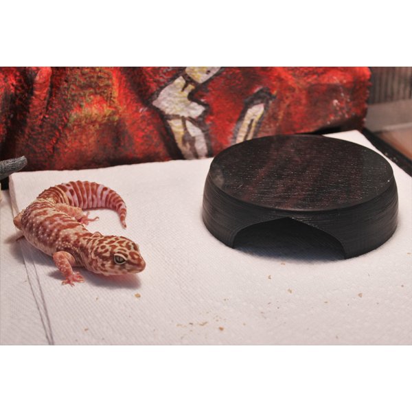 Stroodies Gecko Hut Hide