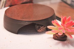 Stroodies Gecko Hut Hide, Bomber Jacket Brown