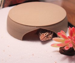 Stroodies Gecko Hut Hide, Sandstone