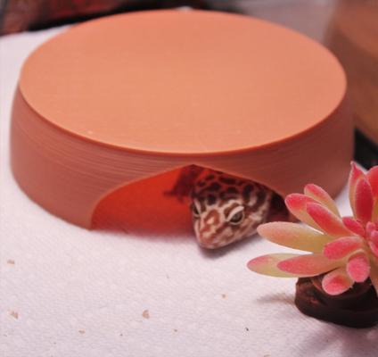 Show full view: Stroodies Gecko Hut Hide, Terracotta slide 4 of 5