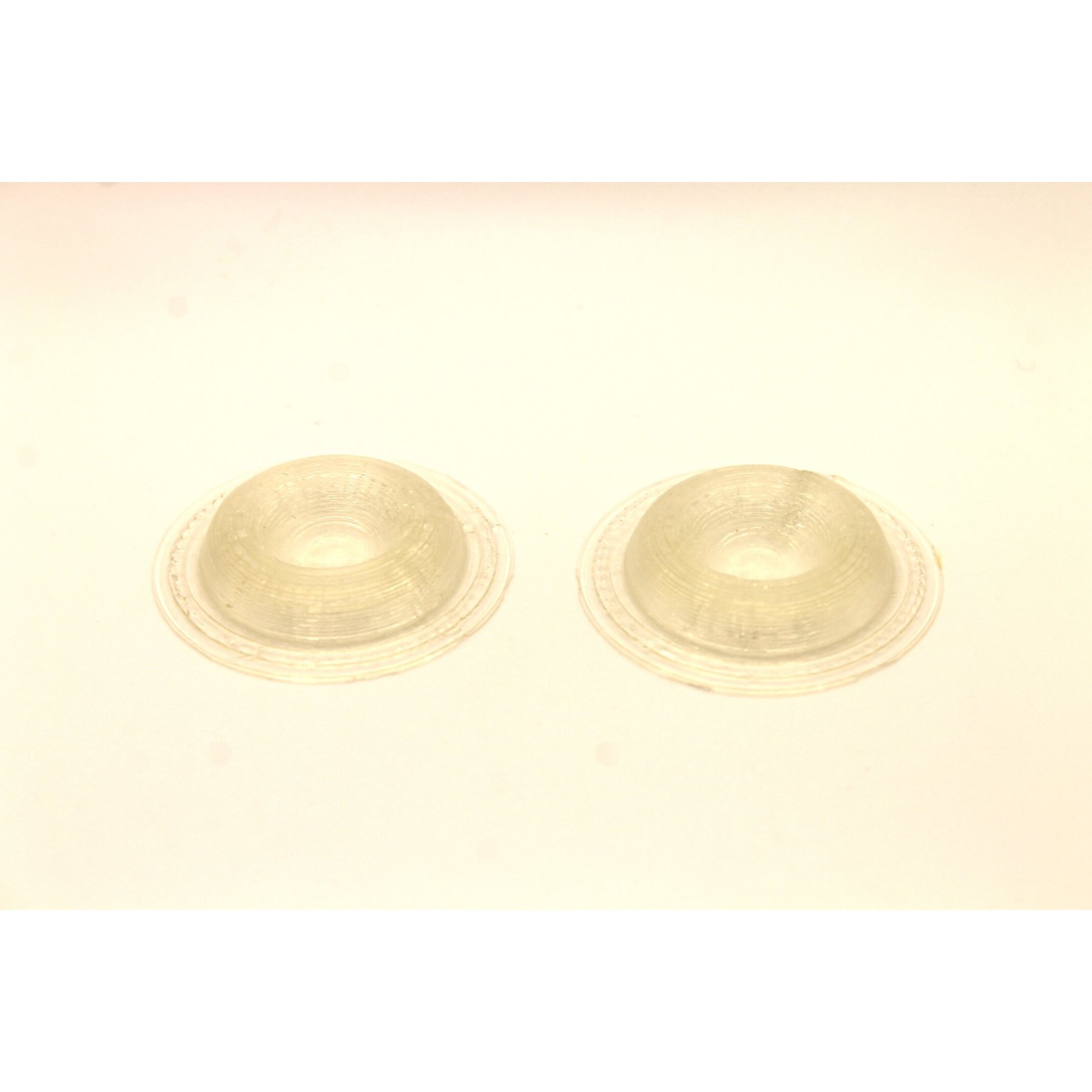 Stroodies Leopard Geckos Calcium Dish, Clear