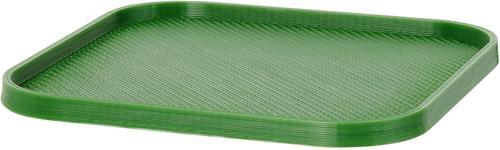 Show full view: Stroodies Leopard Geckos LitterBox, Leaf Green, 4-in slide 4 of 5