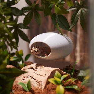 Stroodies MagLoft Magnetic BubbleLoft Gecko Hideout, Marble, Regular/Adult