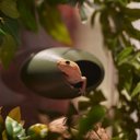 Stroodies MagLoft Magnetic BubbleLoft Gecko Hideout, Olive Drab, Regular/Adult
