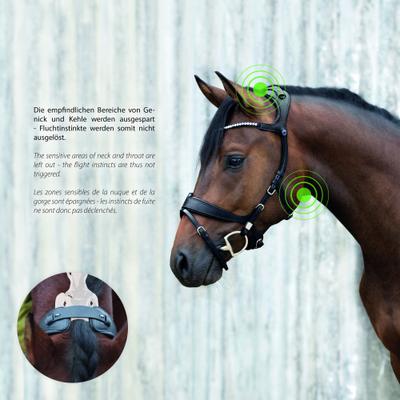 Show full view: Stubben Freedom II Horse Bridle with MagicTack, Black, Full slide 6 of 7