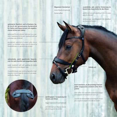 Show full view: Stubben Freedom II Horse Bridle with MagicTack, Black, Full slide 4 of 7