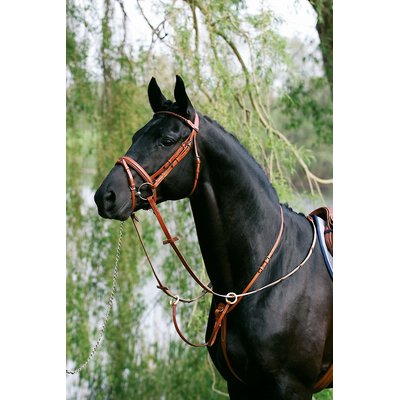 Stubben Stubben Horse Running Martingale, Black, Cob