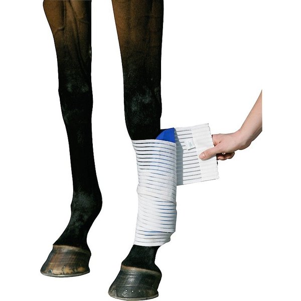 Stubben Kryo Kompakt Horse Elastic Bandage, White