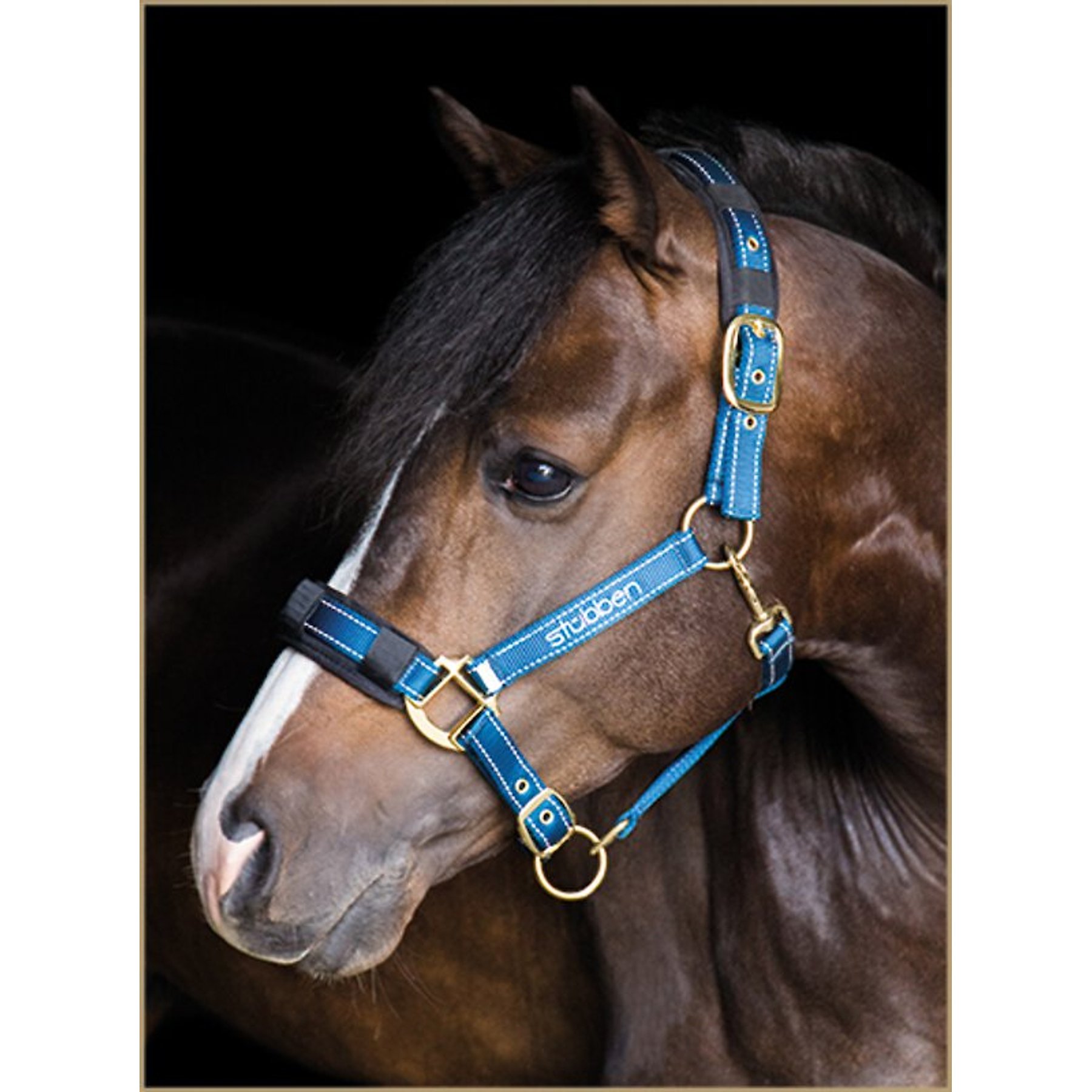 Stubben Reflective Horse Stable Halter, Blue, Cob