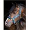 Show in main carousel: Stubben Reflective Horse Stable Halter, Blue, Cob slide 1 of 3