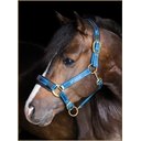 Stubben Reflective Horse Stable Halter, Blue, Full