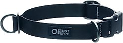 Stunt Puppy Dry Standard Dog Collar, Black, Large