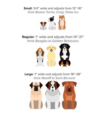 Show full view: Stunt Puppy Dry Standard Dog Collar, Black, Small slide 2 of 6