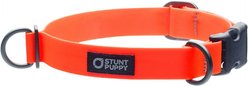 Stunt Puppy Dry Standard Dog Collar, Orange, Medium