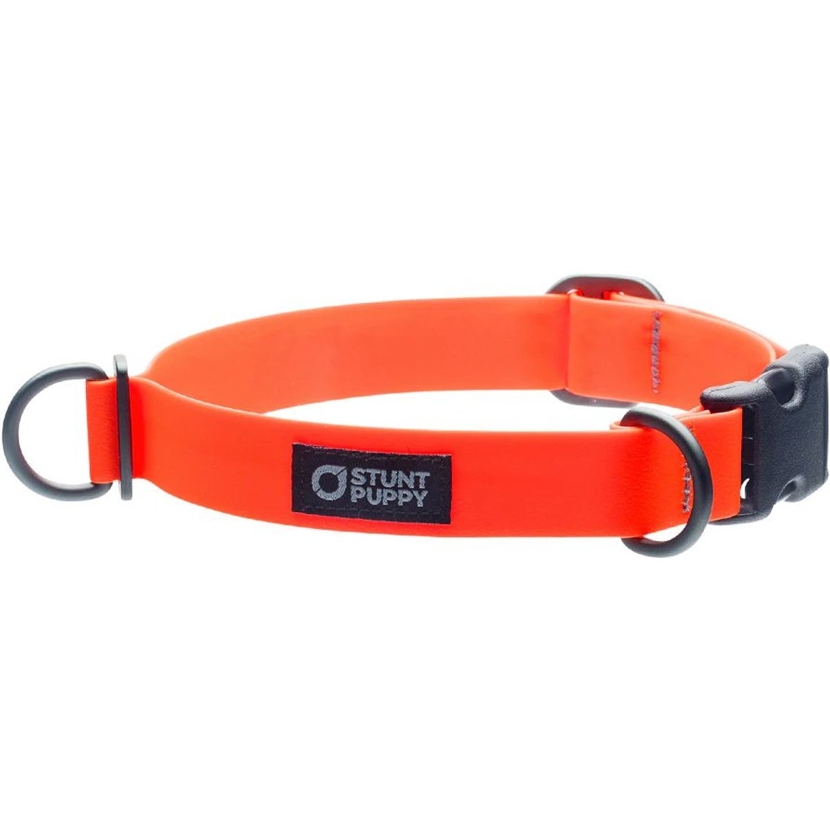 Stunt Puppy Dry Standard Dog Collar, Orange, Medium