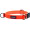 Show in main carousel: Stunt Puppy Dry Standard Dog Collar, Orange, Medium slide 1 of 7