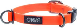 Stunt Puppy Dry Standard Dog Collar, Orange, Small