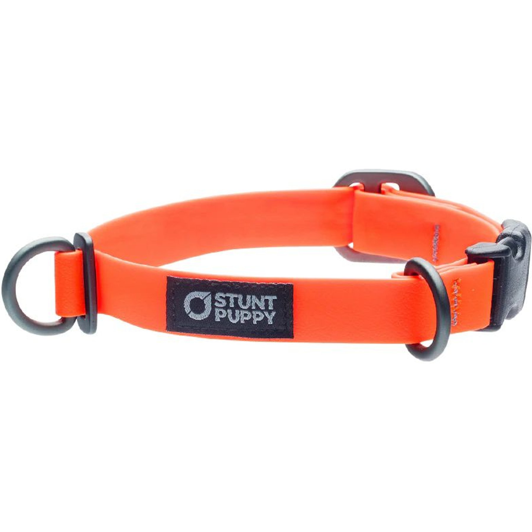 Stunt Puppy Dry Standard Dog Collar, Orange, Small